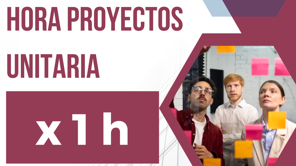 Hora Unitaria de Proyectos